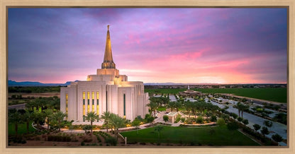 Gilbert Pink Sunrise