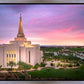 Gilbert Pink Sunrise