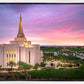 Gilbert Pink Sunrise