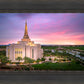 Gilbert Pink Sunrise