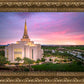 Gilbert Pink Sunrise