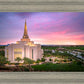 Gilbert Pink Sunrise