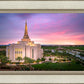 Gilbert Pink Sunrise