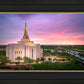 Gilbert Pink Sunrise