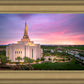 Gilbert Pink Sunrise
