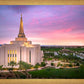 Gilbert Pink Sunrise