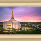 Gilbert Pink Sunrise