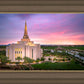 Gilbert Pink Sunrise