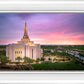 Gilbert Pink Sunrise
