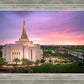 Gilbert Pink Sunrise
