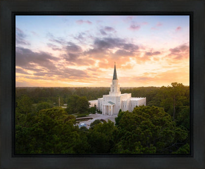 Houston from on High
