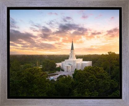 Houston from on High