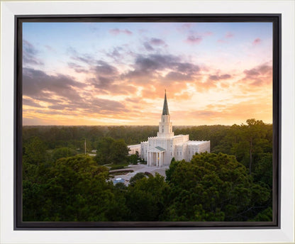 Houston from on High