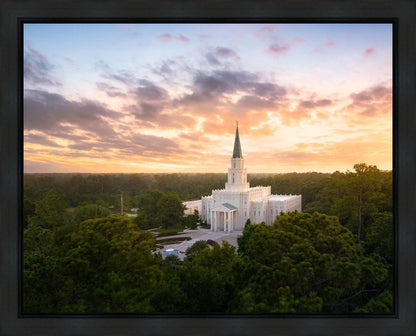 Houston from on High