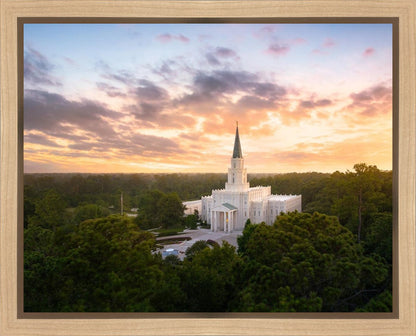 Houston from on High