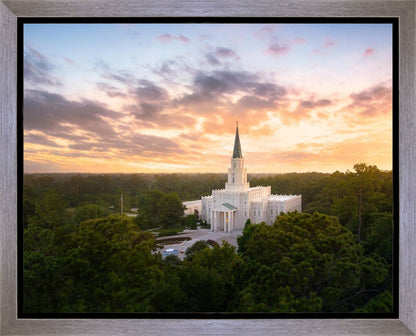 Houston from on High