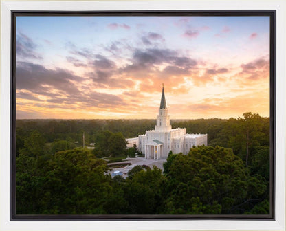 Houston from on High