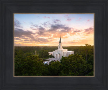 Houston from on High