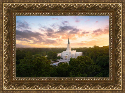 Houston from on High