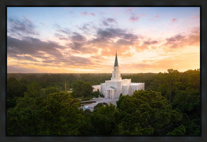 Houston from on High