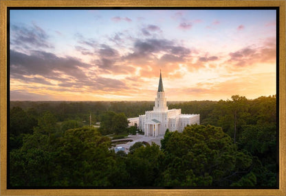 Houston from on High