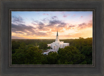 Houston from on High