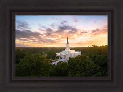 Houston from on High