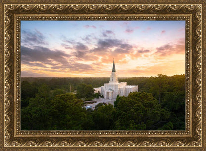 Houston from on High