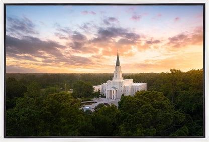 Houston from on High
