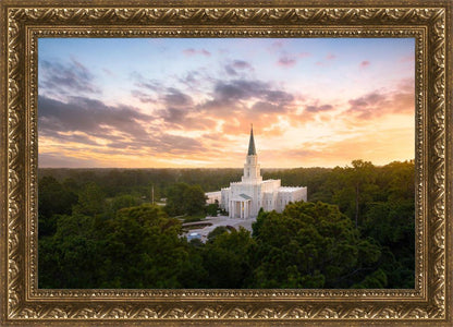 Houston from on High