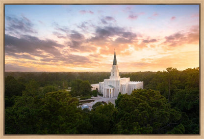 Houston from on High