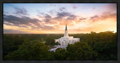 Houston from on High
