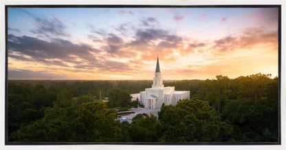 Houston from on High
