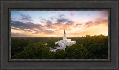 Houston from on High