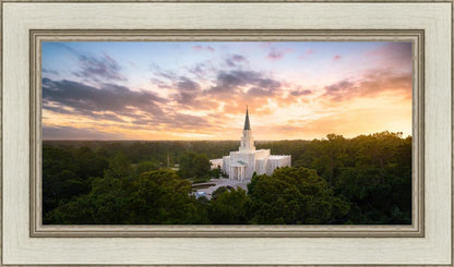 Houston from on High