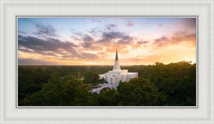 Houston from on High