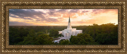 Houston from on High