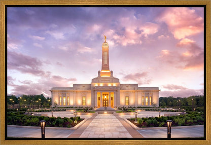 Indianapolis Pink Sunrise