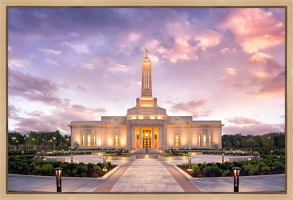 Indianapolis Pink Sunrise