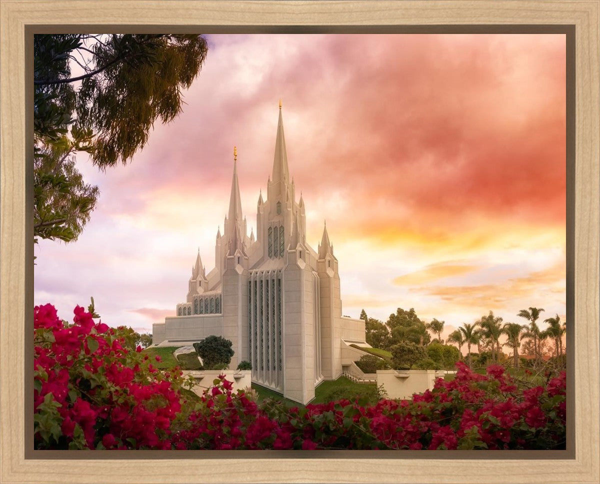 San Diego Flowers Gallery Wrap