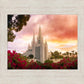 San Diego Flowers