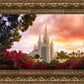 San Diego Flowers