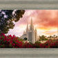 San Diego Flowers