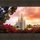 San Diego Flowers