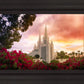 San Diego Flowers