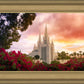 San Diego Flowers