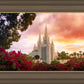San Diego Flowers
