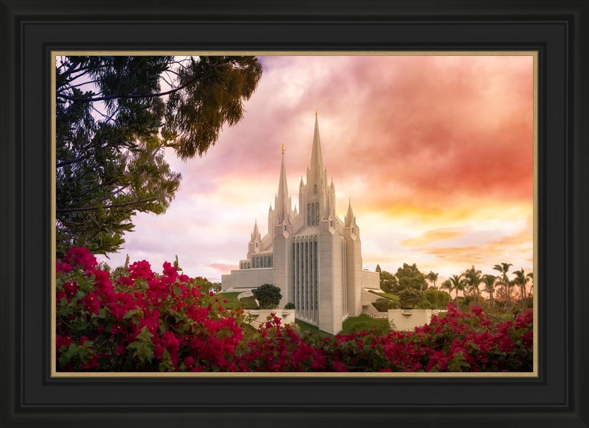 San Diego Flowers