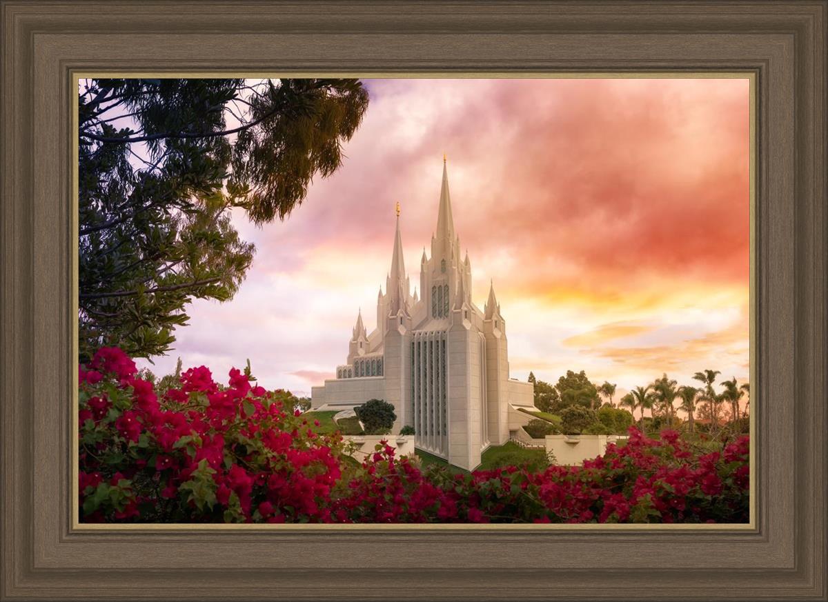 San Diego Flowers