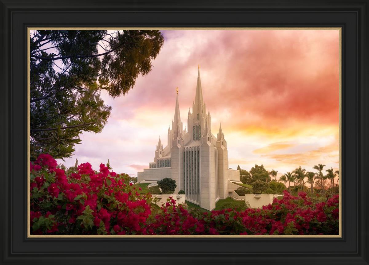 San Diego Flowers